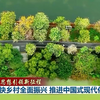 【新思想引领新征程】加快乡村全面振兴 推进中国式现代化