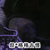 民间故事《老父亲救女儿