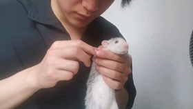 如何在三天之内快速瘦腿 5754e05193edf467c89acfb1a2c038efb1b7192e.jpg@280w_158h_1c_100q.jpg