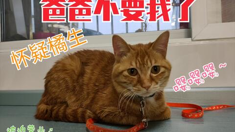 5758f96f5eb63794c5ebcb8a4aca90516d8b8d63.jpg@480w_270h_1c
