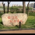 【西陆vlog】曲江池遗址公园，风景如画
