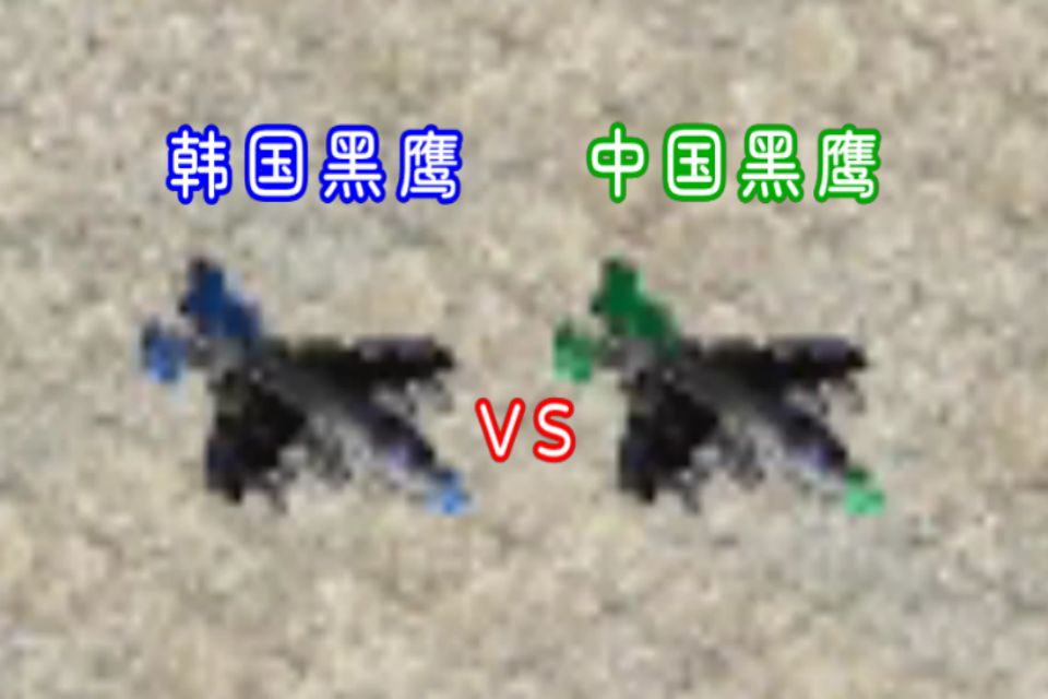 红警2共辉，中国黑鹰战机比韩国黑鹰战机强多少？