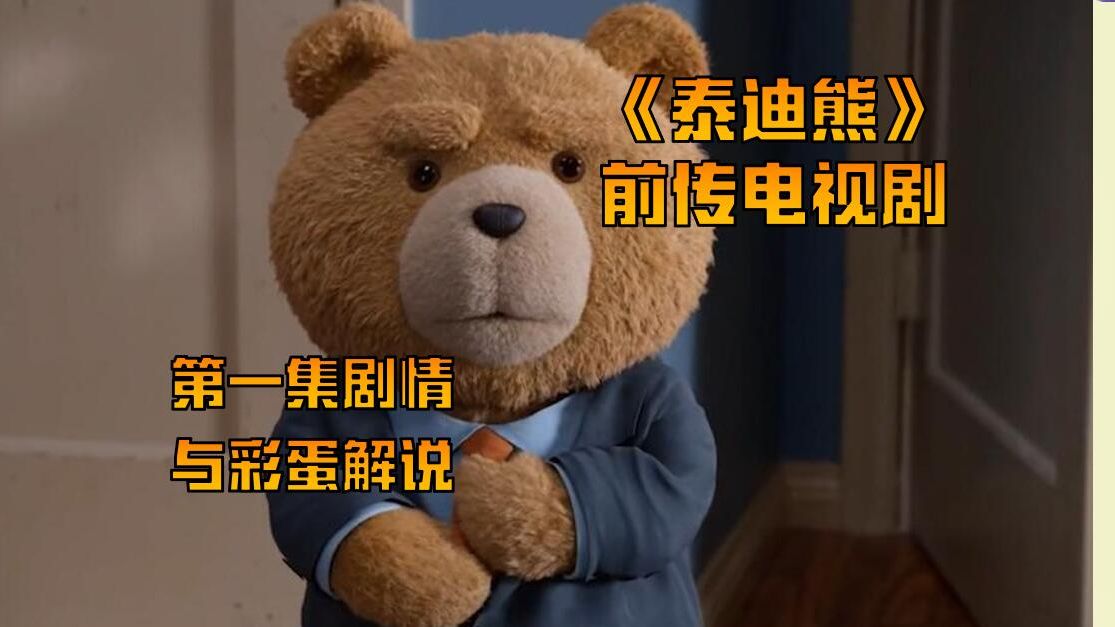 【泰迪熊】“年少有为”，泰迪荣升小出生