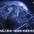 AI上海｜看仿生水母带来什么新灵感