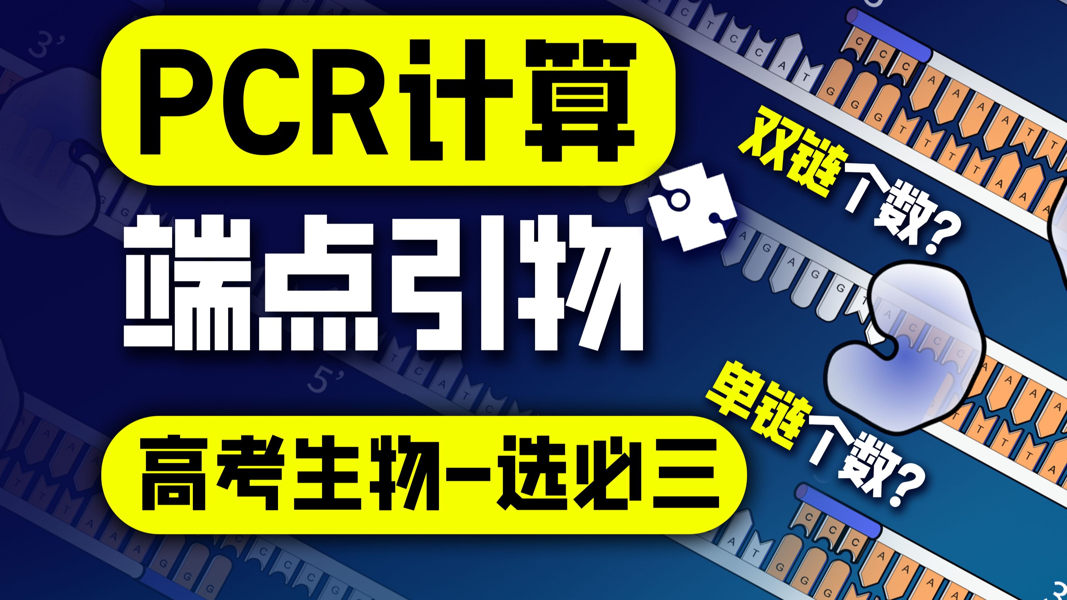 【高考生物重难点】端点引物在PCR中的数量关系-选必三基因工程