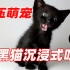 小奶猫吃东西太可爱了，沉浸式解压萌宠吃播，烦恼瞬间被治愈了