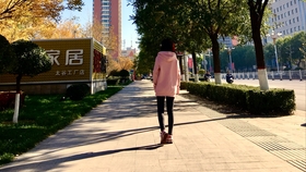 57ad45fe2218b69e0f22e3ad1d26a9127fe95c13.jpg@280w_158h_1c_100q.jpg