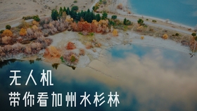57b88694cca52c54bee4875a1b37a2940ce8ccc2.jpg@280w_158h_1c_100q.jpg