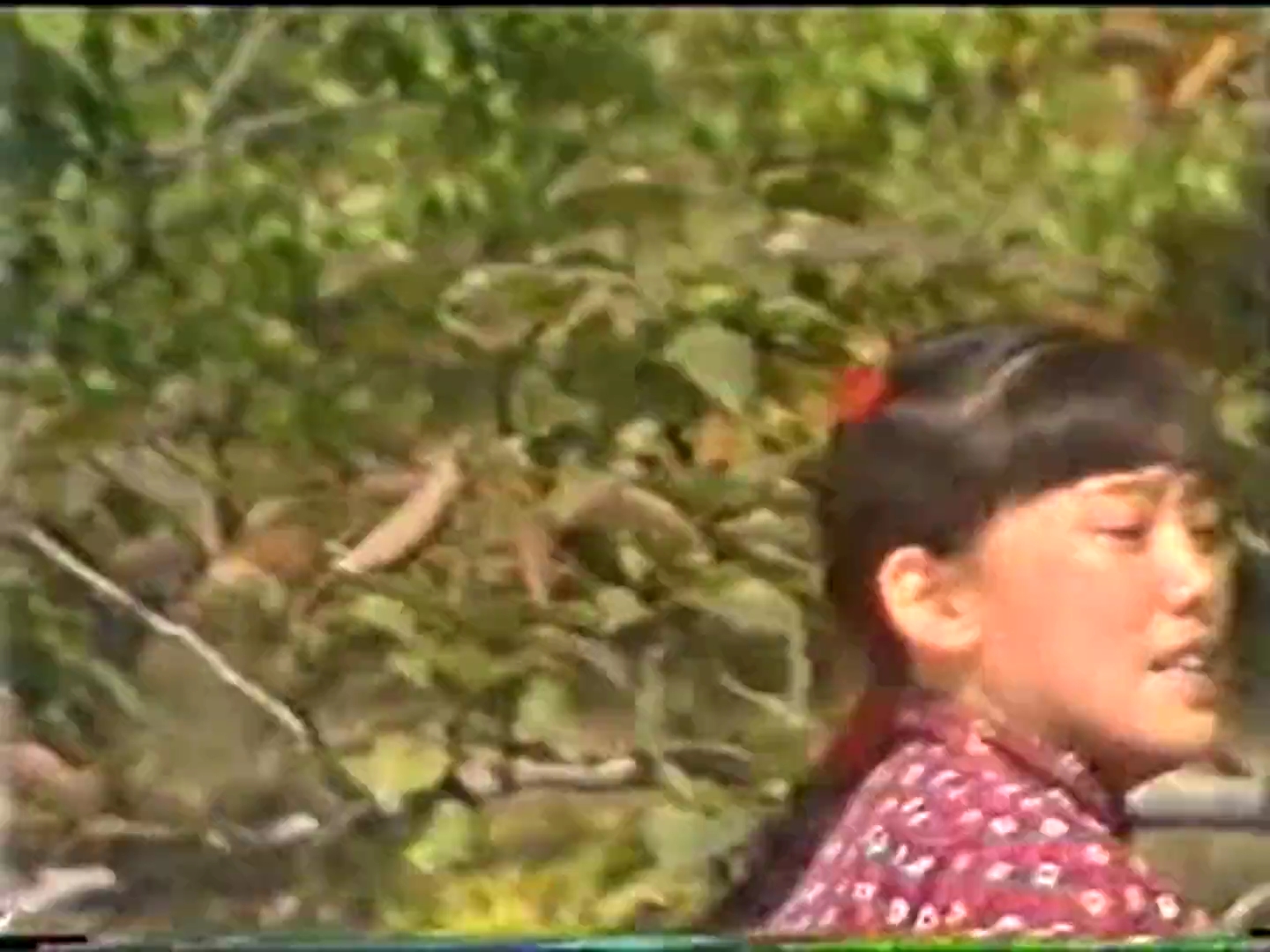 赵树理和他的乡亲们，自分集