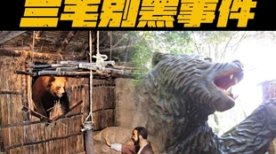 57c911825a49f6372ef8d38563cf3cc952eedee4.jpg@310w_174h_1c_100q.jpg