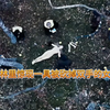 树林里惊现一具被砍掉双手的女尸