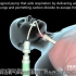气管插管 Intubation andMechanical Ventilation