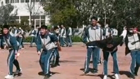 老狼小主人，免费观看的短剧之旅，老狼小主人，免费短剧之旅