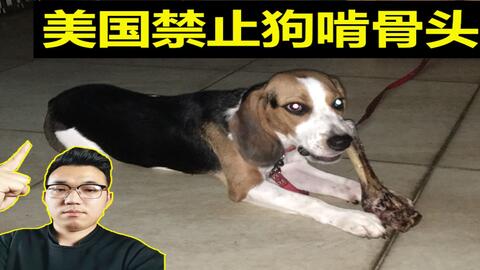 57f1146a4f1e0cbf515c8a97f8ca96f28f4bd8ad.jpg@480w_270h_1c