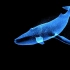 蓝鲸，粒子鲸鱼，海洋鲸鱼，海底世界，全息鲸鱼