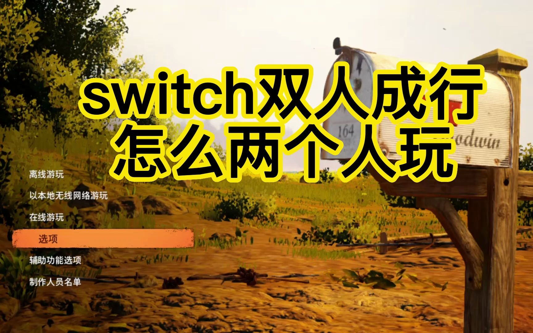 双人成行怎么两个人玩（switch版）？