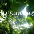 【糖】家乡的夏日镜头混剪，阳光从树梢洒落，夏天来了~