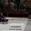 男子疑似坠楼砸汽车上，不断呻吟。网友:遇这事要等