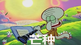 简谱章鱼哥_章鱼哥图片