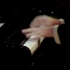 【钢琴 | 练习曲】克劳德·德彪西十二首练习曲-第9曲（Étude 9 pour les notes répétées）