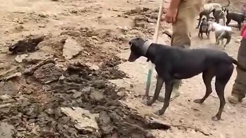 582090c90aa5c2283ed30c60340cb72d0c76db9a.jpg@480w_270h_1c