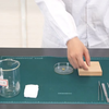250503 生物B：深圳市2025年初中学业水平考试实验操作模拟考试 生物学B组试题 观察玉米种子储存淀粉的主要结构
