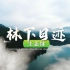 《生态绿》乡村振兴在行动 | 武平县林下经济《林下日迹》系列微视频