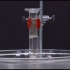 甲烷和氯气反应的实验操作