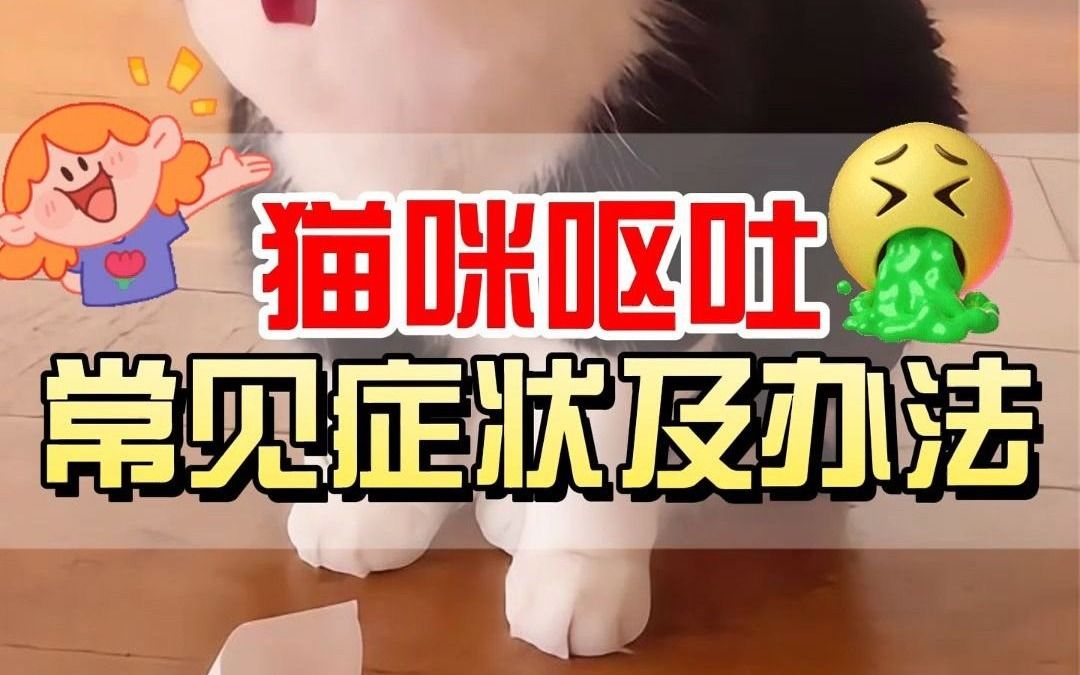 猫咪呕吐不用慌！5种情况5个解法