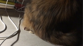 5868893b82da1c5f18473715020db62c34e5f7fe.jpg@280w_158h_1c_100q.jpg