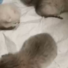 叔叔检查身体