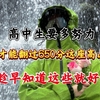 高中生要多努力，才能翻过这座山