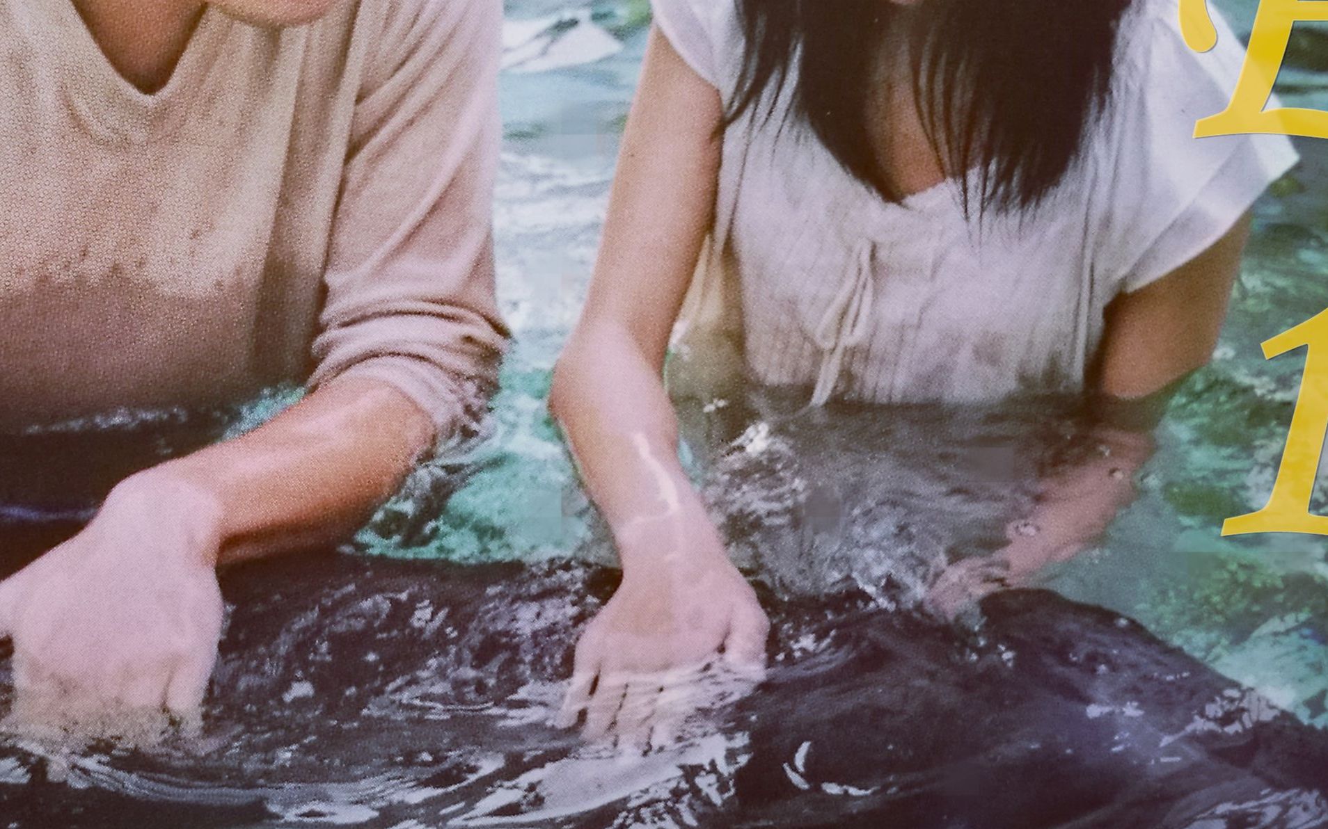 海豚湾恋人(2004)的海报和剧照 第6张/共6张【图片网】