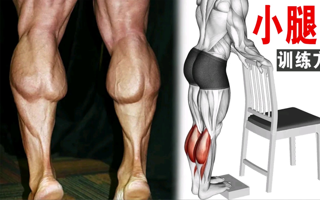 9个下肢强化动作，锻炼腿部 强健下肢让双腿更有力量 - 哔哩哔哩