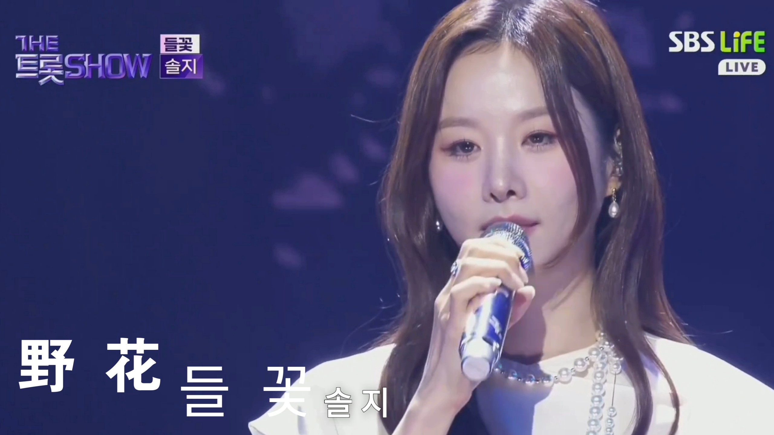 솔지 - 들꽃 野花 率智 YANG真心诚心第一不朽名曲在乎又全裕珍梁支银메기싱어지은最高不会不许韩国音乐먹歌谣舞台매화日本演歌黄金星期五日韩top10show