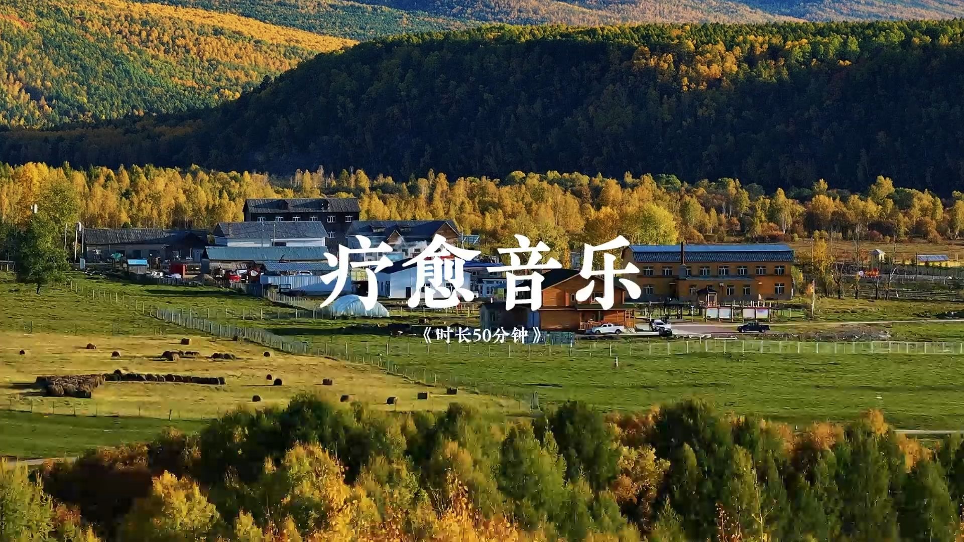 【疗愈音乐】温柔的音乐陪伴，让自然的气息穿过心田