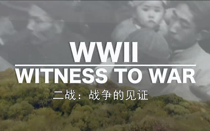 纪录片《二战：战争的见证》全12集 1080P超清