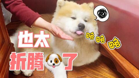 58ac441cef89f8f869d53956f132ecd57081f56c.jpg@480w_270h_1c