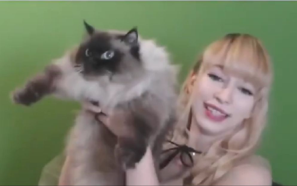 【Keekihime/熟】公主有多喜欢她的猫