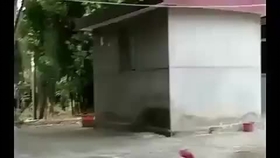 快速解冻法5分钟 58bc9f5066e7c8a295923a0267dbcfbd81ab258b.jpg@280w_158h_1c_100q.jpg