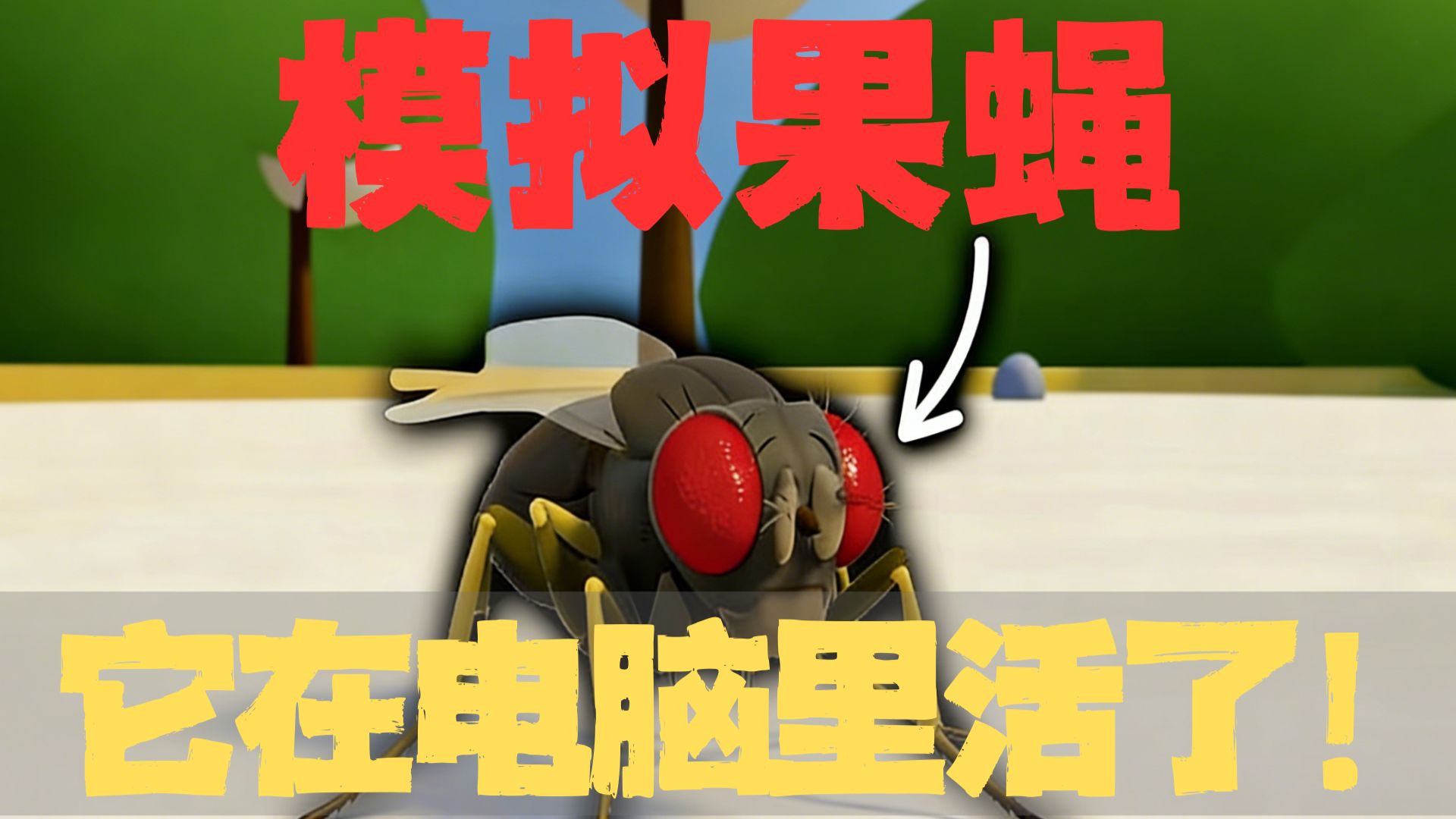 世界是电脑模拟的可能性越来越高了！