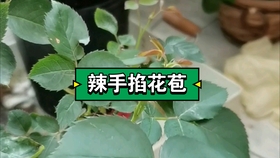58cf2d12d11b53ff1db09abdef812674ac585b00.jpg@280w_158h_1c_100q.jpg