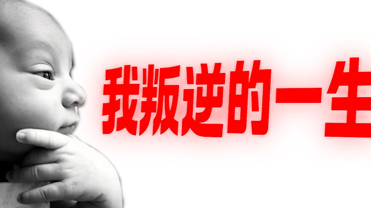 我叛逆的一生
