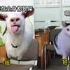 【猫meme】下体育课后发现同学在教室里满身大便
