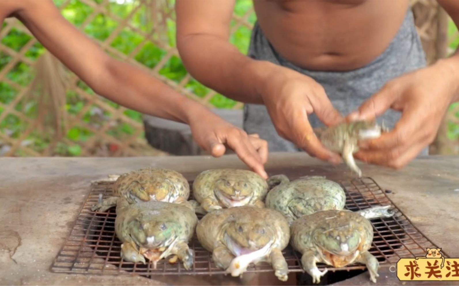 越南顶级美食，蛤蟆汉堡！