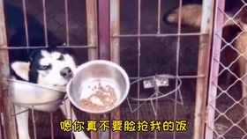 58e3a5b3cb8ff727ef8b1bd7a49c30af4e6c4159.jpg@280w_158h_1c_100q.jpg