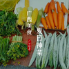 广西有一种神奇的菜，可素炒也可荤炒，可以煮汤，也可以下面条，在广西农村随处可见，并占据着整个夏天的餐桌