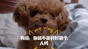 590ebc2a8d44c2bace1c655521ebb6173ae9ecd7.jpg@280w_158h_1c_100q.jpg