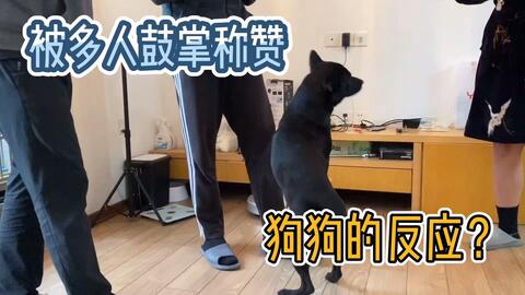 怎么上tiktok啊 5913b6c5747ce6af271d51472f10a65536fe8ed4.jpg@480w_270h_1c