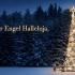 著名圣诞歌曲Stille Nacht 平安夜